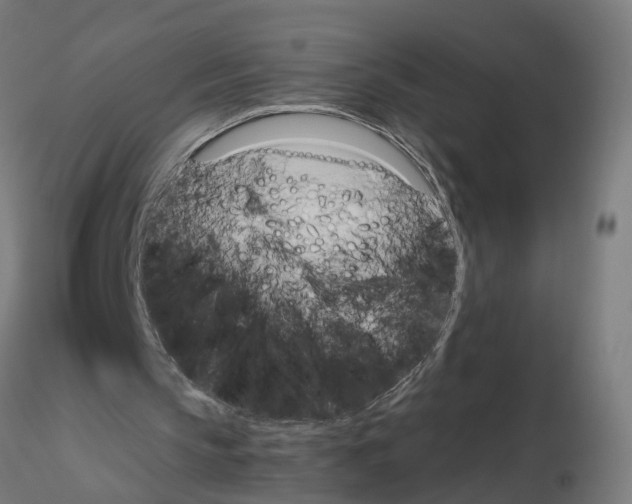 X0000115640145200912221317