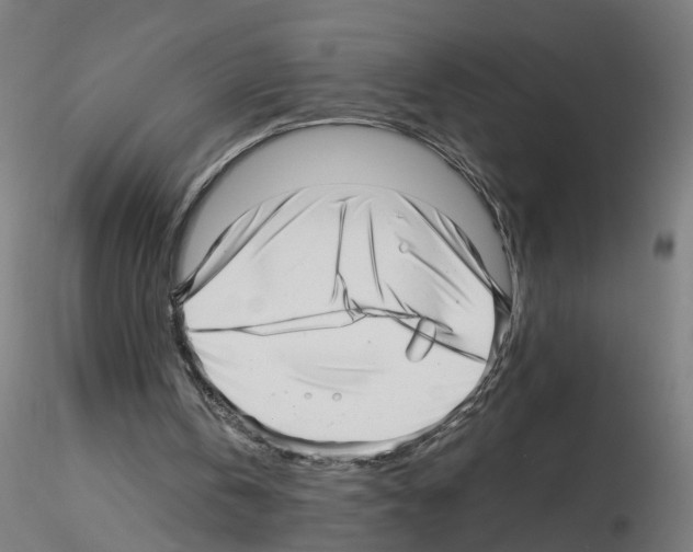 X0000115640146200912221317