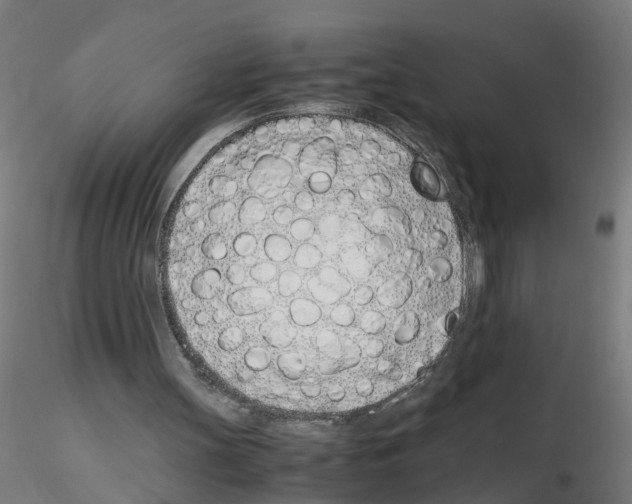 X0000115640147200912221317