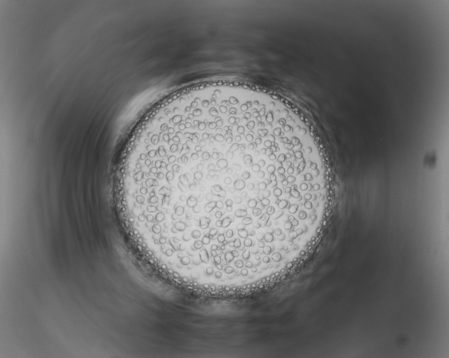 X0000115640149200912221317