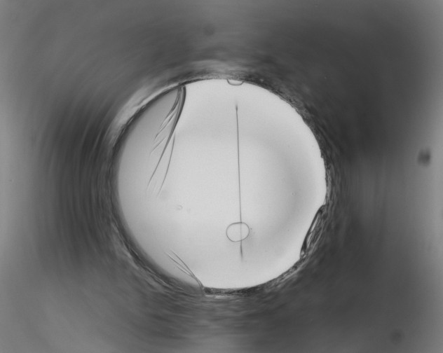 X0000115640150200912221317