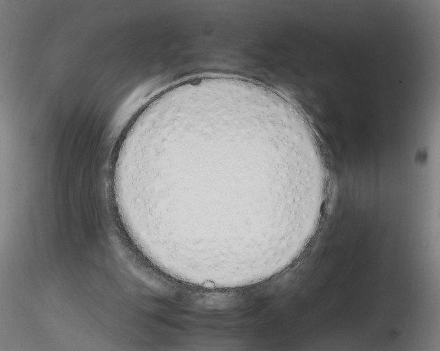 X0000115640151200912221317