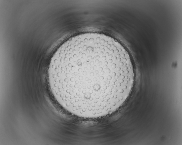 X0000115640153200912221317