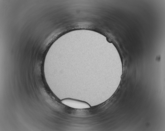 X0000115640154200912221317