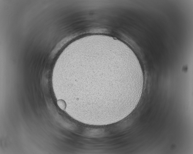 X0000115640155200912221317