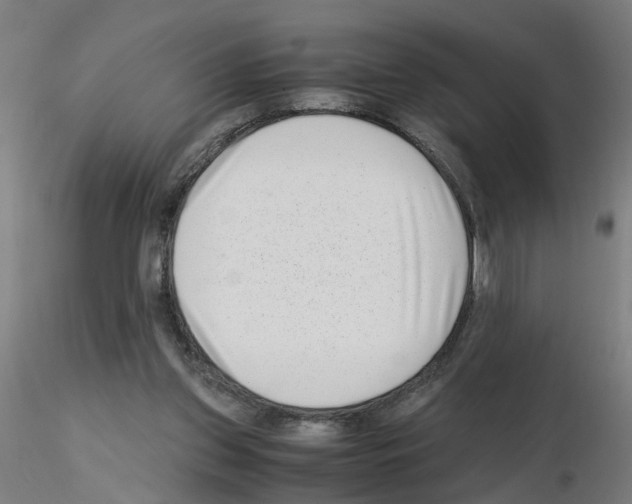 X0000115640157200912221317