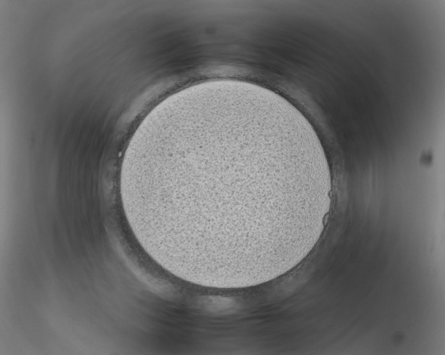 X0000115640159200912221317