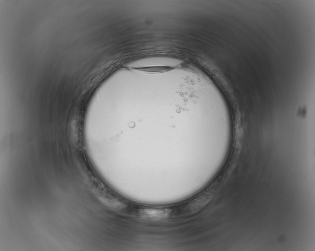X0000115640161200912221317