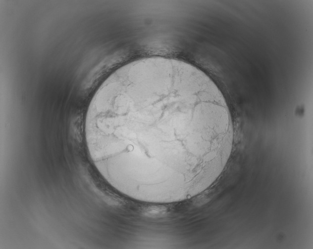X0000115640162200912221317