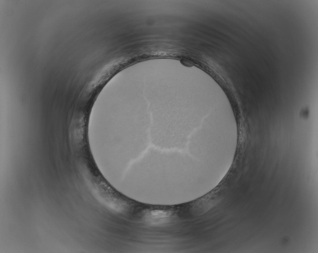 X0000115640163200912221317