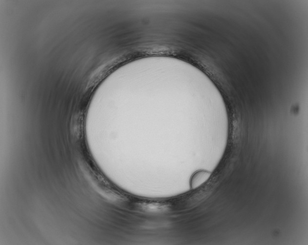 X0000115640165200912221317
