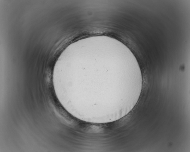 X0000115640166200912221317