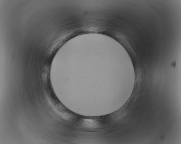 X0000115640167200912221317