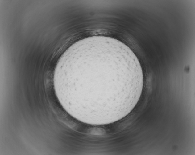 X0000115640169200912221317