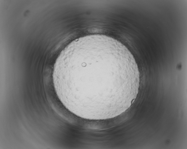 X0000115640171200912221317