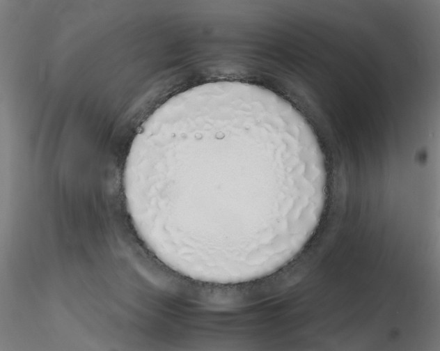 X0000115640173200912221317