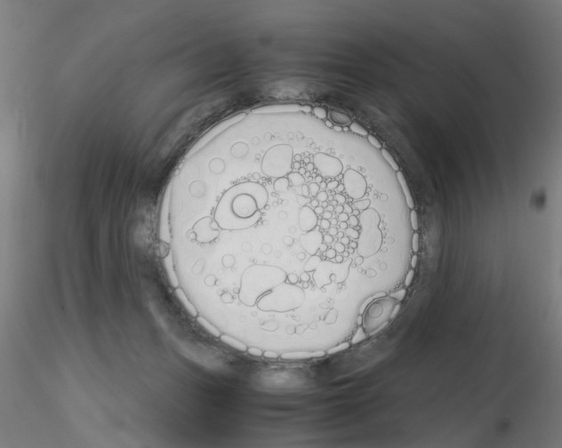 X0000115640175200912221317
