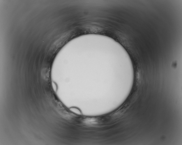 X0000115640177200912221318