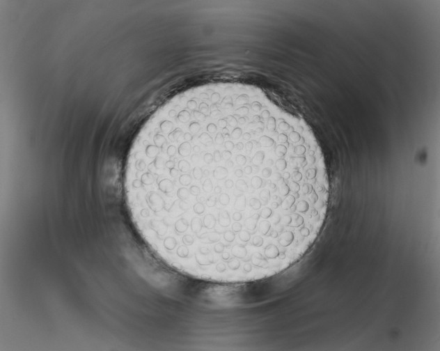 X0000115640178200912221318