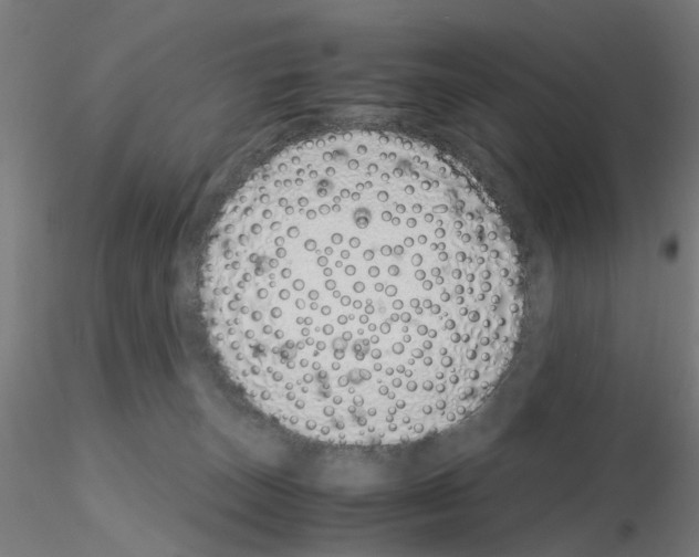 X0000115640179200912221318