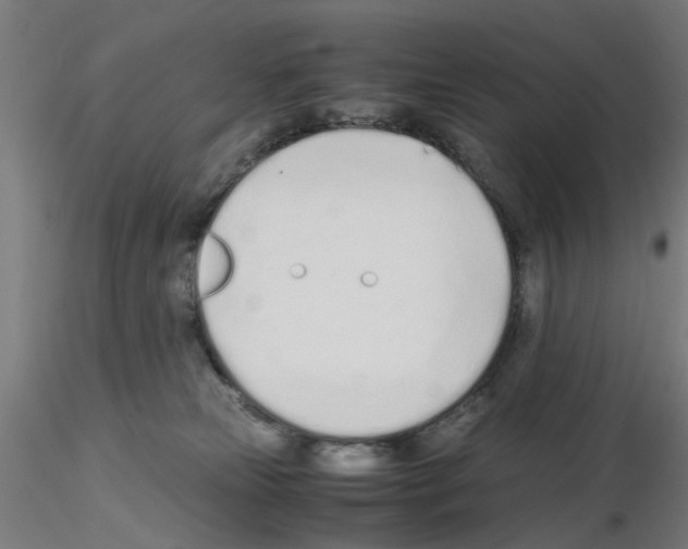 X0000115640181200912221318