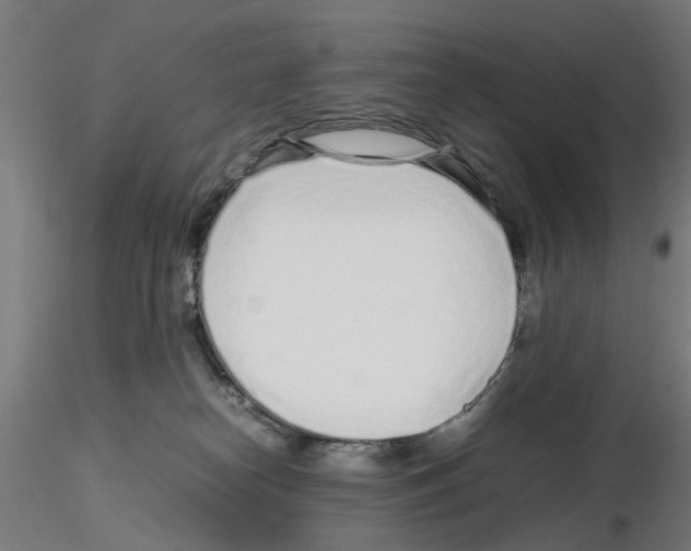 X0000115640182200912221318