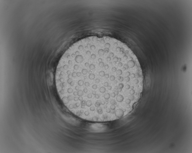 X0000115640183200912221318