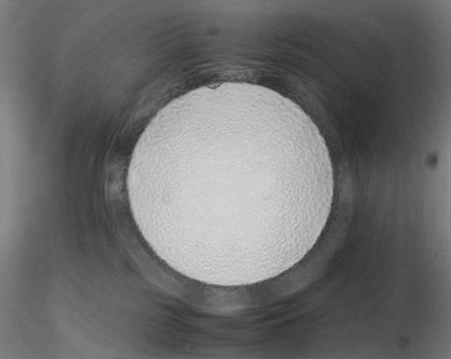 X0000115640185200912221318