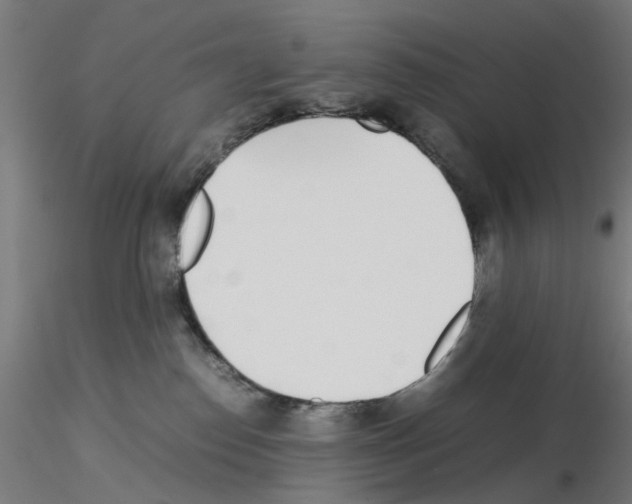 X0000115640186200912221318