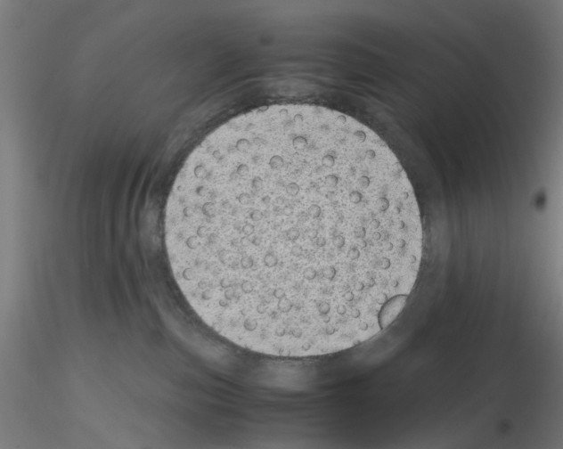 X0000115640187200912221318