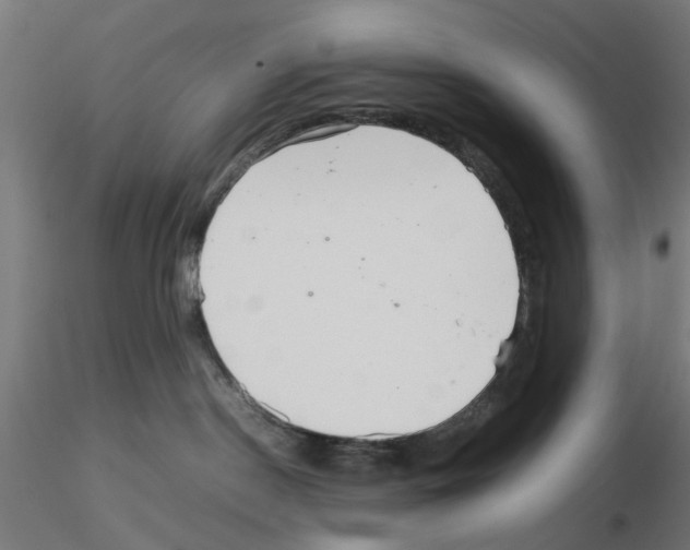 X0000115640190200912221318