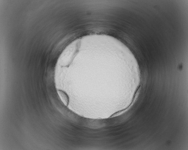 X0000115640191200912221318