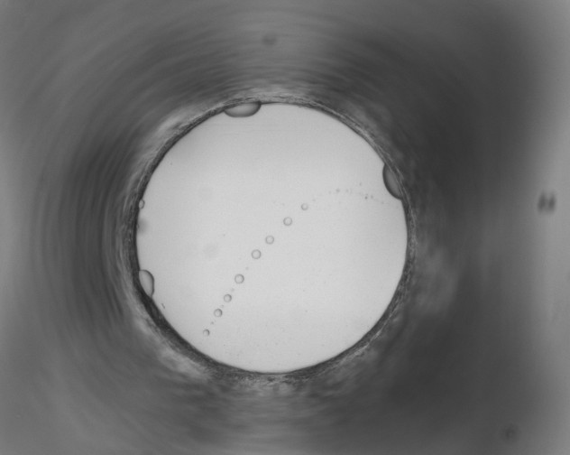 X0000115640193200912221317