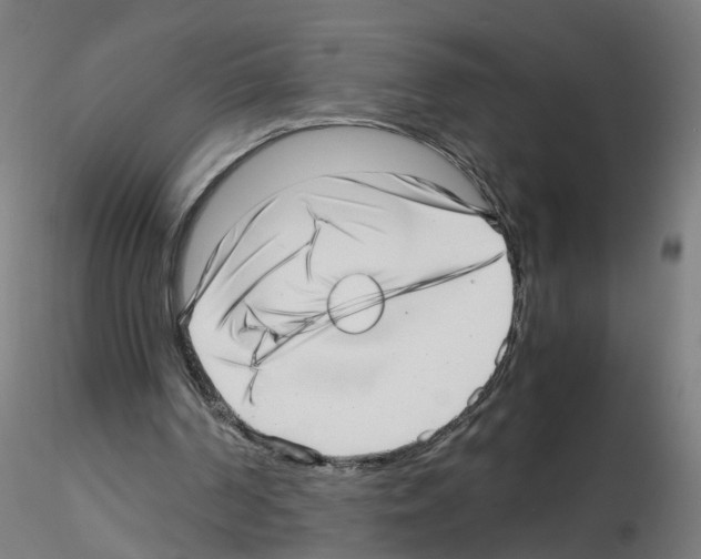 X0000115640194200912221317