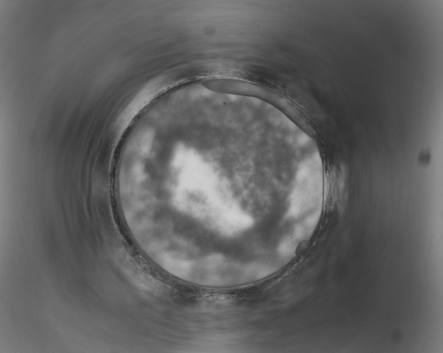 X0000115640195200912221317