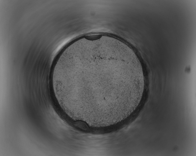 X0000115640196200912221317