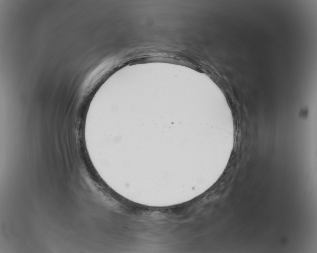 X0000115640197200912221317