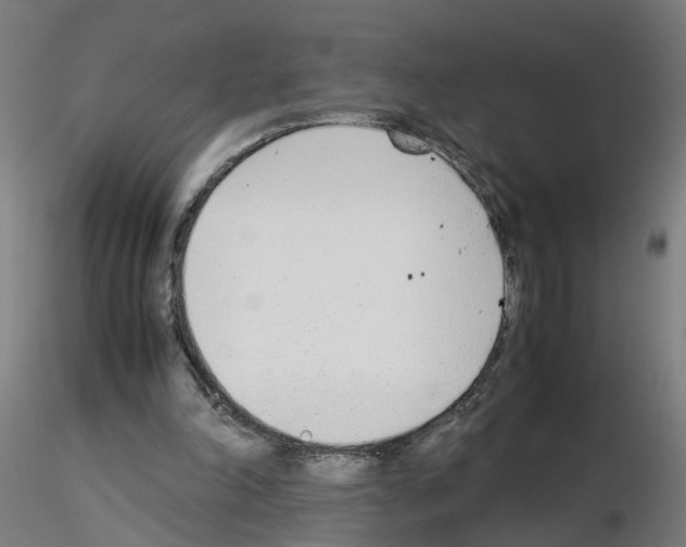 X0000115640198200912221317
