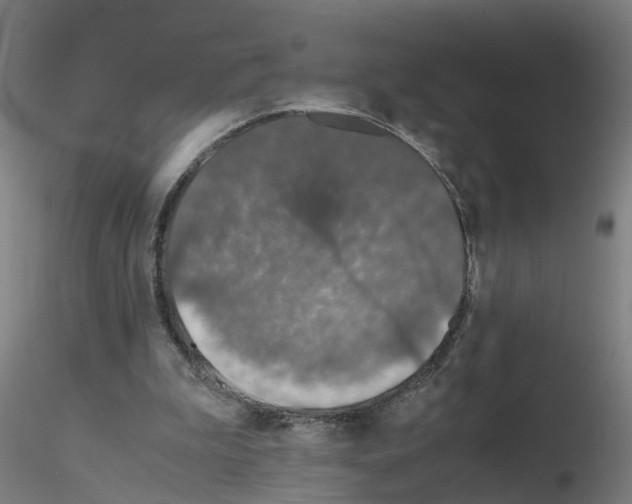 X0000115640199200912221317