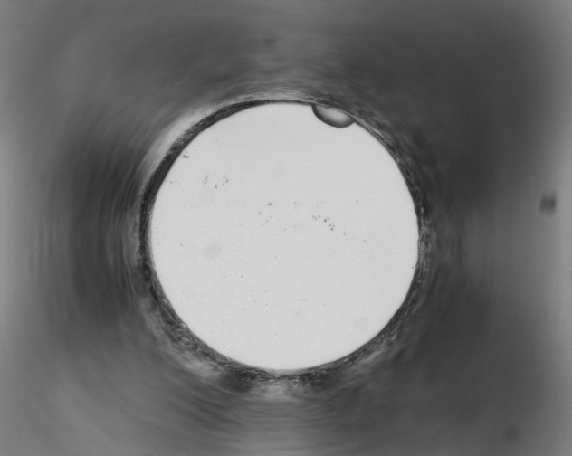 X0000115640200200912221317