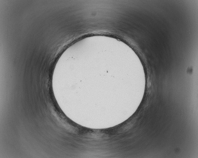X0000115640201200912221317