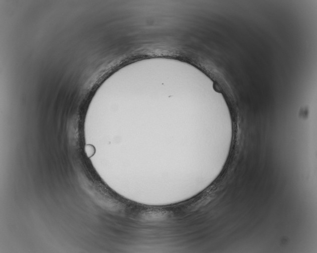 X0000115640202200912221317