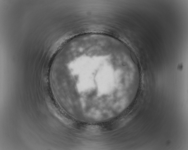 X0000115640203200912221317