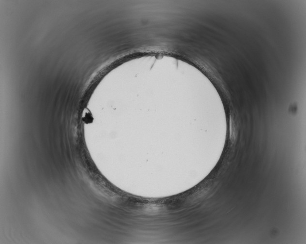 X0000115640204200912221317