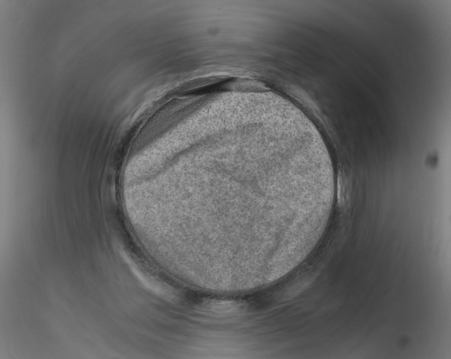 X0000115640205200912221317