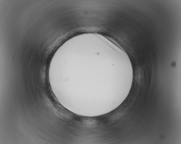 X0000115640206200912221317