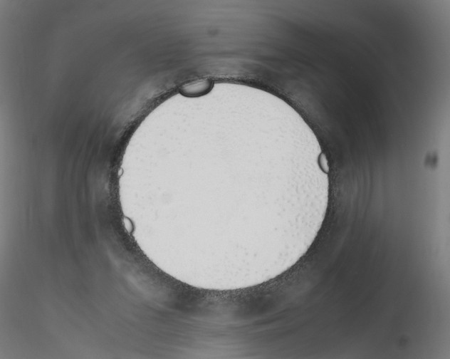 X0000115640207200912221317