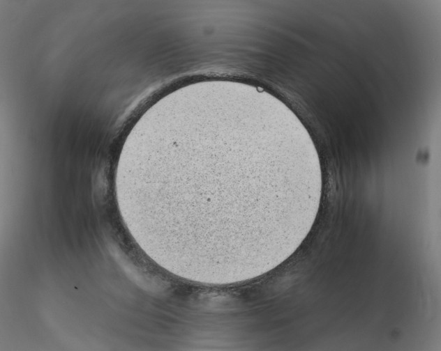 X0000115640208200912221317