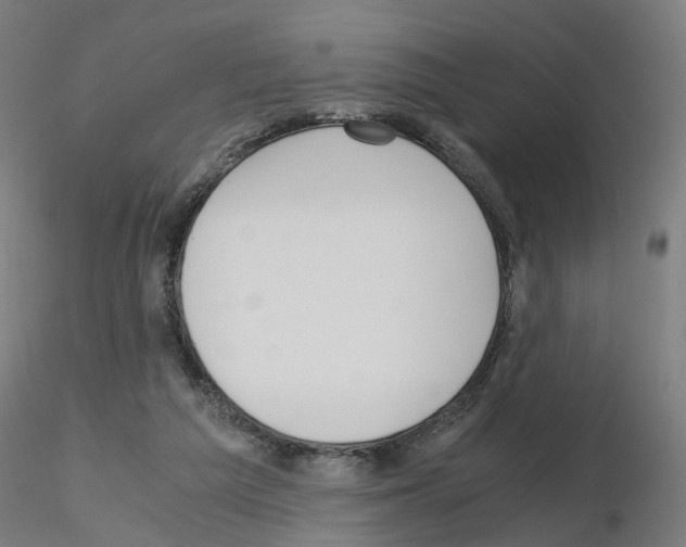 X0000115640209200912221317