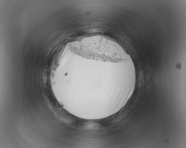 X0000115640210200912221317